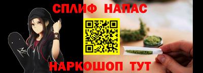 гашик Славянск-на-Кубани