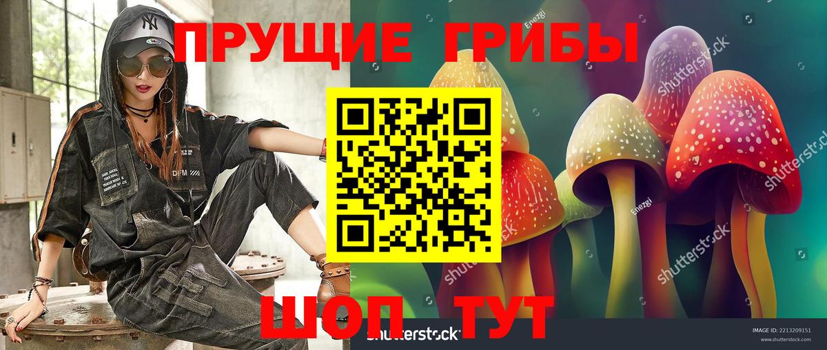 Югорск  Галлюциногенные грибы GOLDEN TEACHER  Вход с VPN  Галлюциногенные грибы Magic Shrooms 